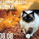 ���� �����, �����-���������, 75 ��� - ��������� 8 ������� 2026 � ������ ������ ��������