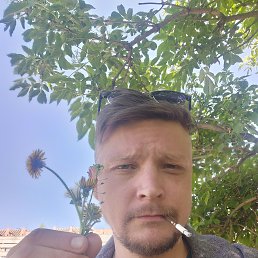 , 38, 