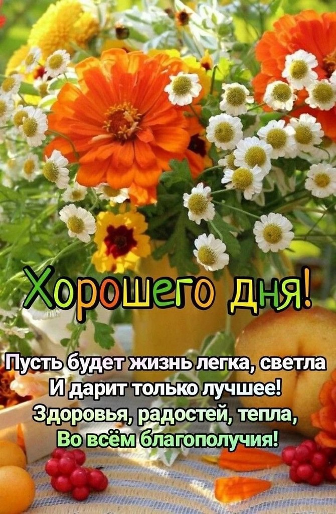   ,    . - 8  2024  12:44