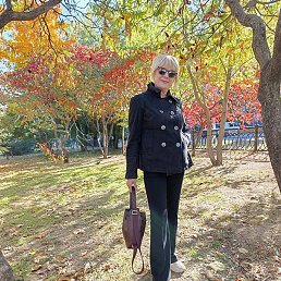 ����� ��������!, ���������, 66 ���