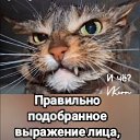 ���� ����� "������ �� ���", ����������, 47 ��� - ��������� 19 ���� 2025 � ������ ���� ����������