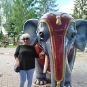 ���� �������, ����������, 66 ��� - ��������� 28 ������ 2026 � ������ ���� ����������