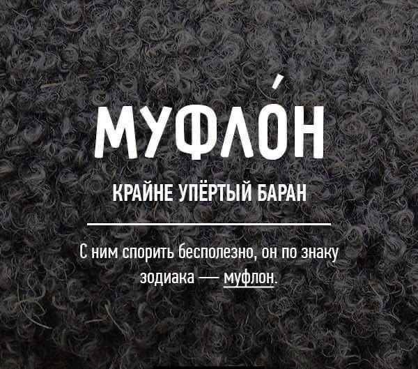 Ec y  pyc,  o epap! - 9