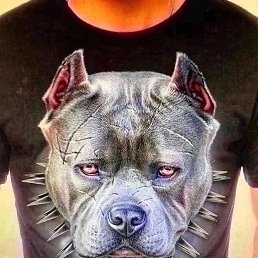 ���� ����, ��������, 25 ��� - ��������� 14 ������ 2024