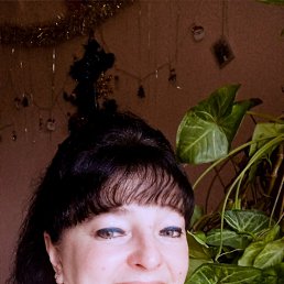 , 41, 