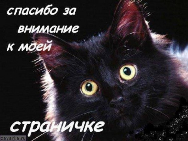  - 6  2023  11:56