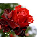 ���� ����, �������, 70 ��� - ��������� 16 ������ 2025 � ������ ������ ��������