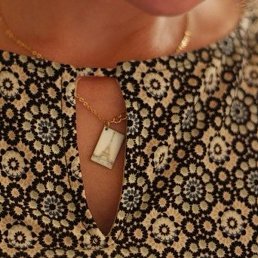 ****������ ****, ���������