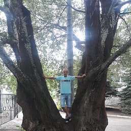 ���� �����, ���������, 59 ��� - ��������� 7 ����� 2026