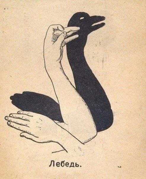 -    ,          ... - 6