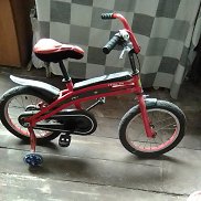 DAVID, 18 ���, �������