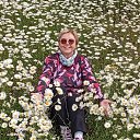 ���� ������, �����-���������, 66 ��� - ��������� 12 ���� 2025