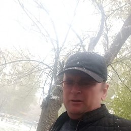 , 41, 