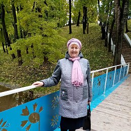 ����, �������, 66 ���