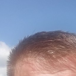 ���������, �����-���������, 49 ���