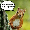 ���� ����, ��������, 41 ��� - ��������� 25 ��� 2024