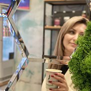 �����, 43 ����, �����������