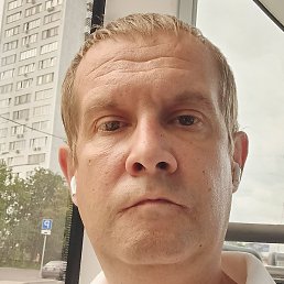 �����, ������, 41 ���