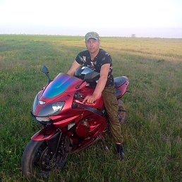 Roman, , 36 
