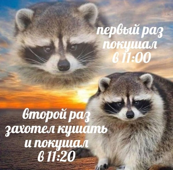    - 3  2024  14:43