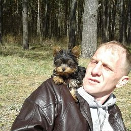 ���� �������, ��������, 53 ���� - ��������� 15 ������ 2023