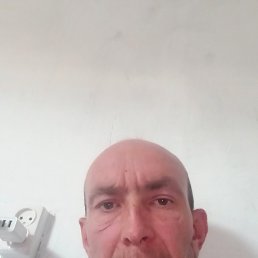 , 38, 