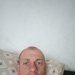 , 41, 