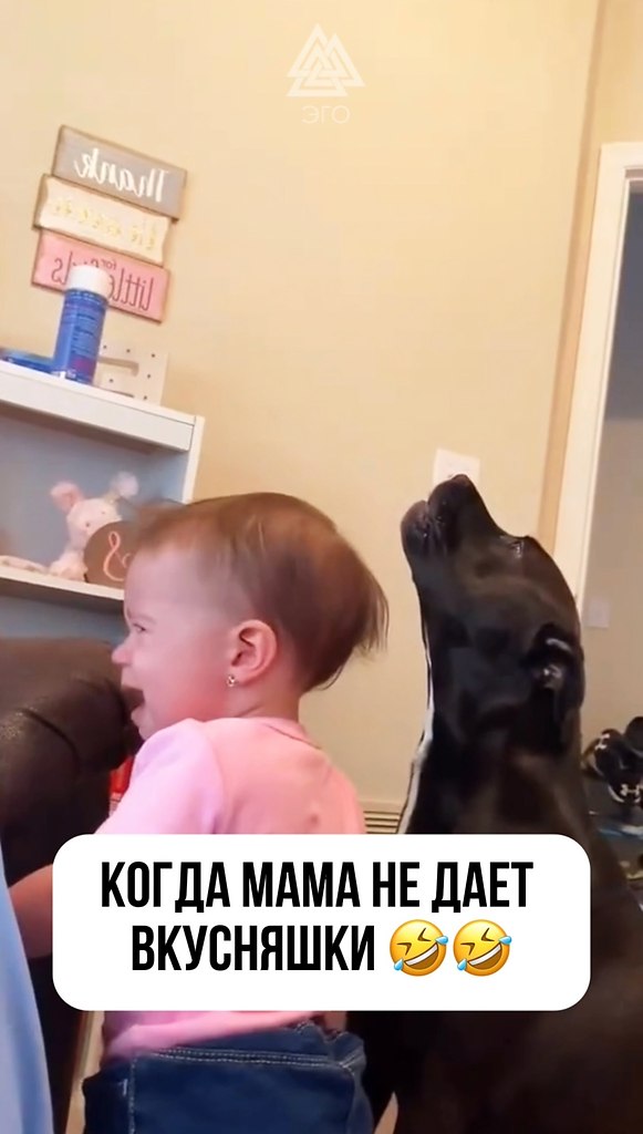      ,      - 2