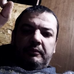 �����, ������, 38 ���