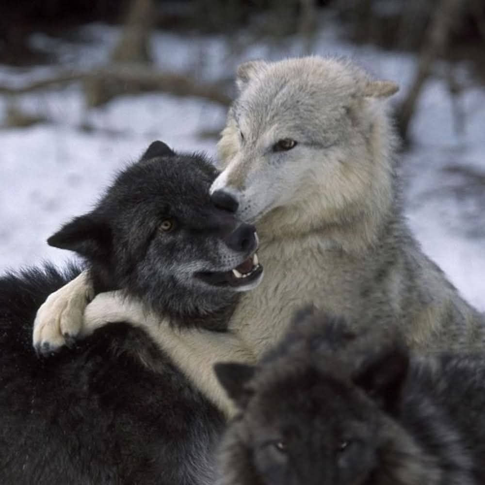 :)  :  ,     ?      ... - 2