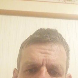 , 43 , 