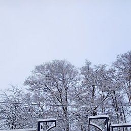 �������, �����������, 60 ���