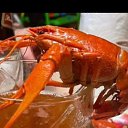 ���� ����, ������-��-����, 37 ��� - ��������� 16 ������� 2025 � ������ ���� ����������