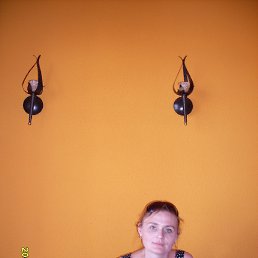 , 41, 