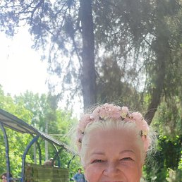  , 65, 