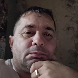 �����., ���������, 48 ���