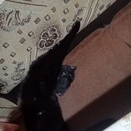 ������, ������, 45 ���