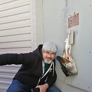 , 49 , 