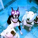 ���� ���� �����, ������, 39 ��� - ��������� 27 ������ 2024 � ������ ���� ����������