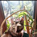 ����. �� ������� ������ ��������