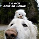 ���� �����, ����������, 43 ���� - ��������� 26 ������ 2026 � ������ ���� ����������