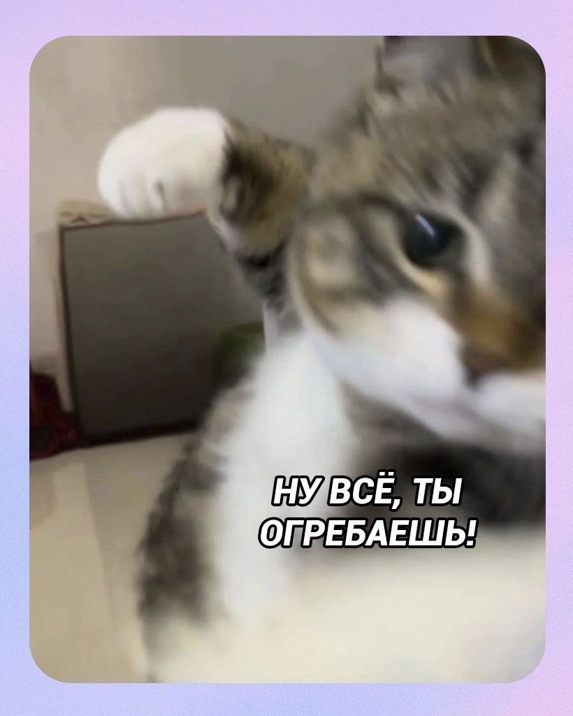 ���� ���, ����� �� �������� �� ������ � �� ���� ������ ����� ������:
