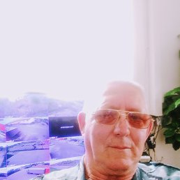 , 64, 