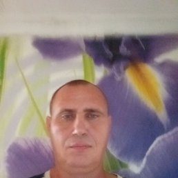 , 43, 