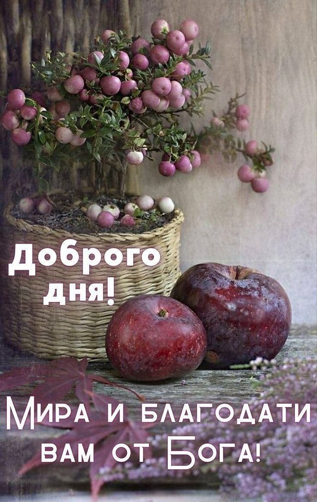 ПРИВЕТСТВИЯ и ПОЖЕЛАНИЯ, открытки на каждый день. - 24 октября 2025 в 16:12 - 5