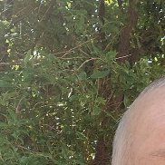 , 51 , 