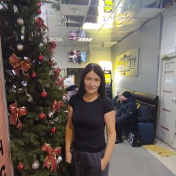 ���� ������, ����������, 50 ��� - ��������� 10 ������� 2026