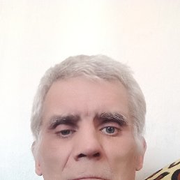  , 48 , 