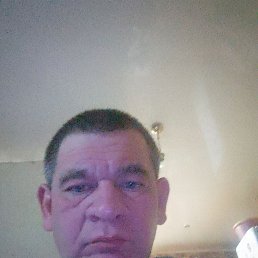 , 37, 