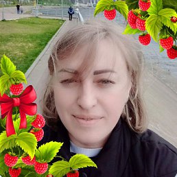 , 41, 